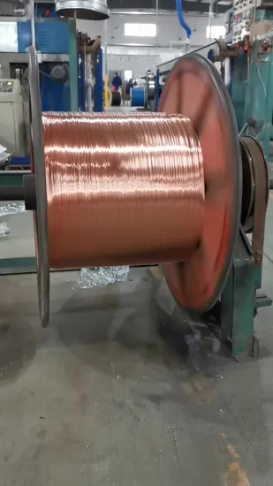 0.75mm 1.0mm 1.5mm 2.5mm 4.0mm 6.0mm Electrical Flexible Single Insulated Wire Bare Copper Flat Electric Wire